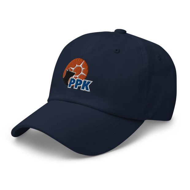 classic-dad-hat-navy-left-front-646ab84fd4093.jpg
