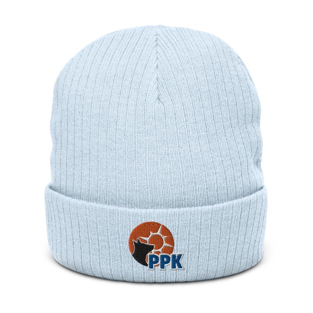 ribbed-knit-beanie-light-blue-front-646abbbf25af5.jpg